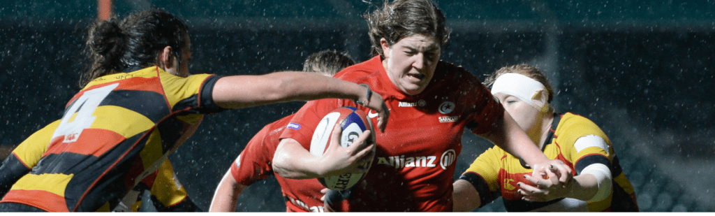 Bryony banner