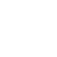 Phizz
