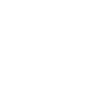 Phizz