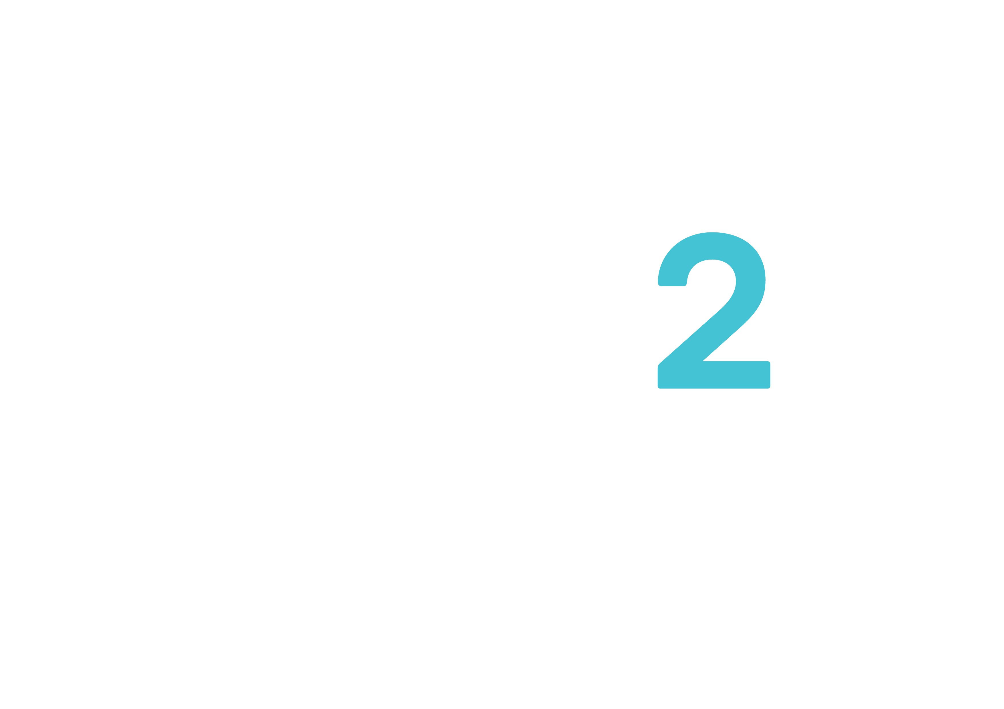 V2_Logo_Neg