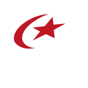 Saracens_Logo Light