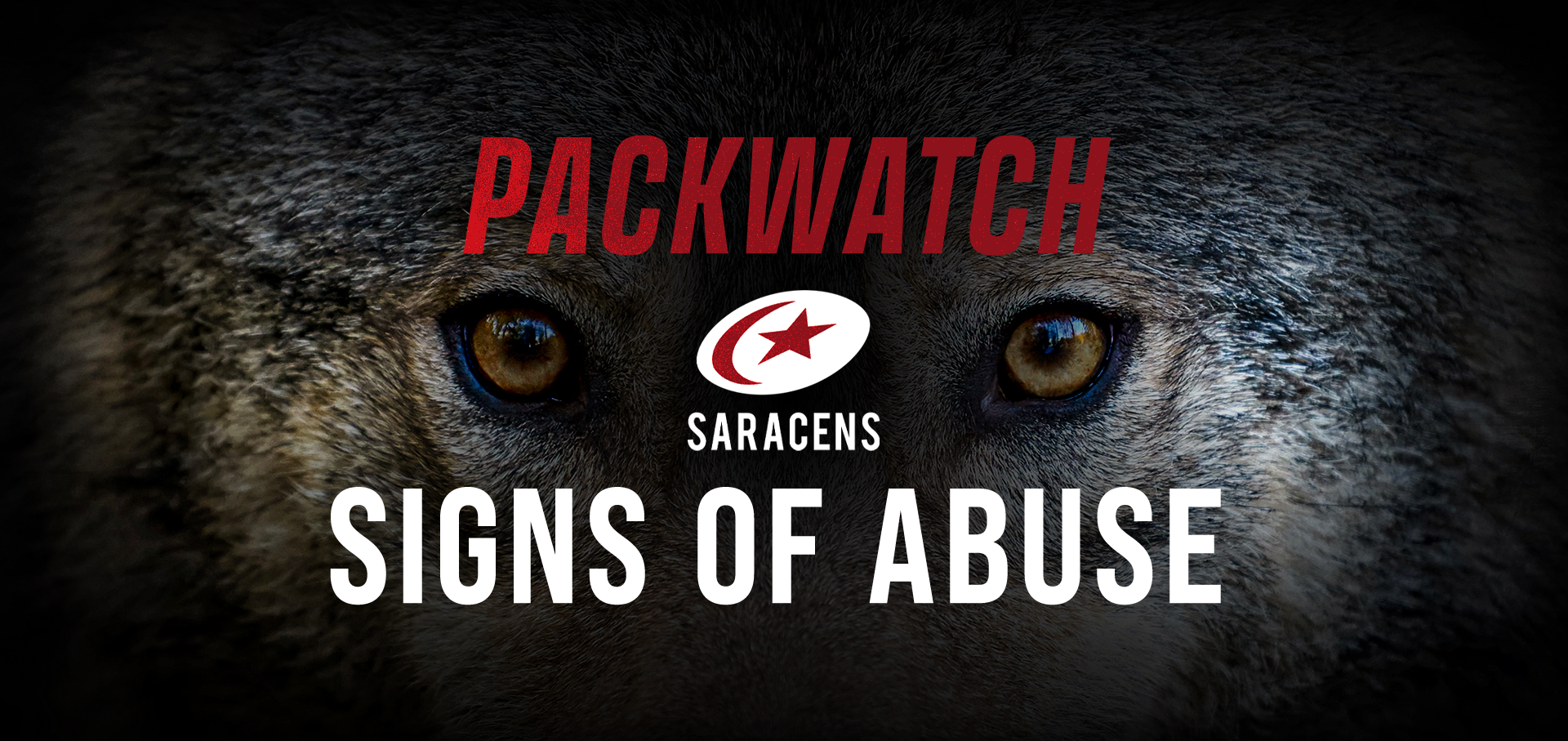 Signs of Abuse Update